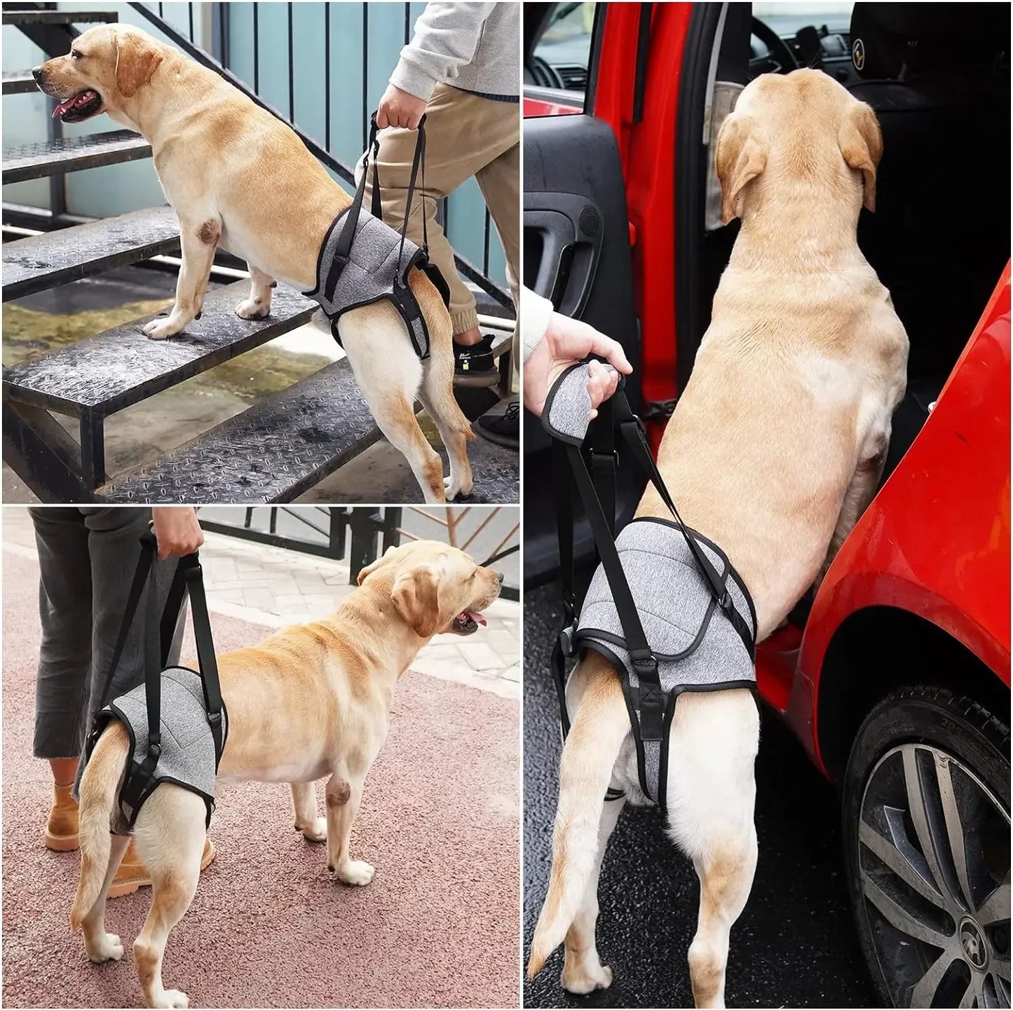 Dog Leg Strap Disability Brace Help Walking Harness Auxiliary Belt For Recovery Postoperative Rehabilitation Dog Accessoires