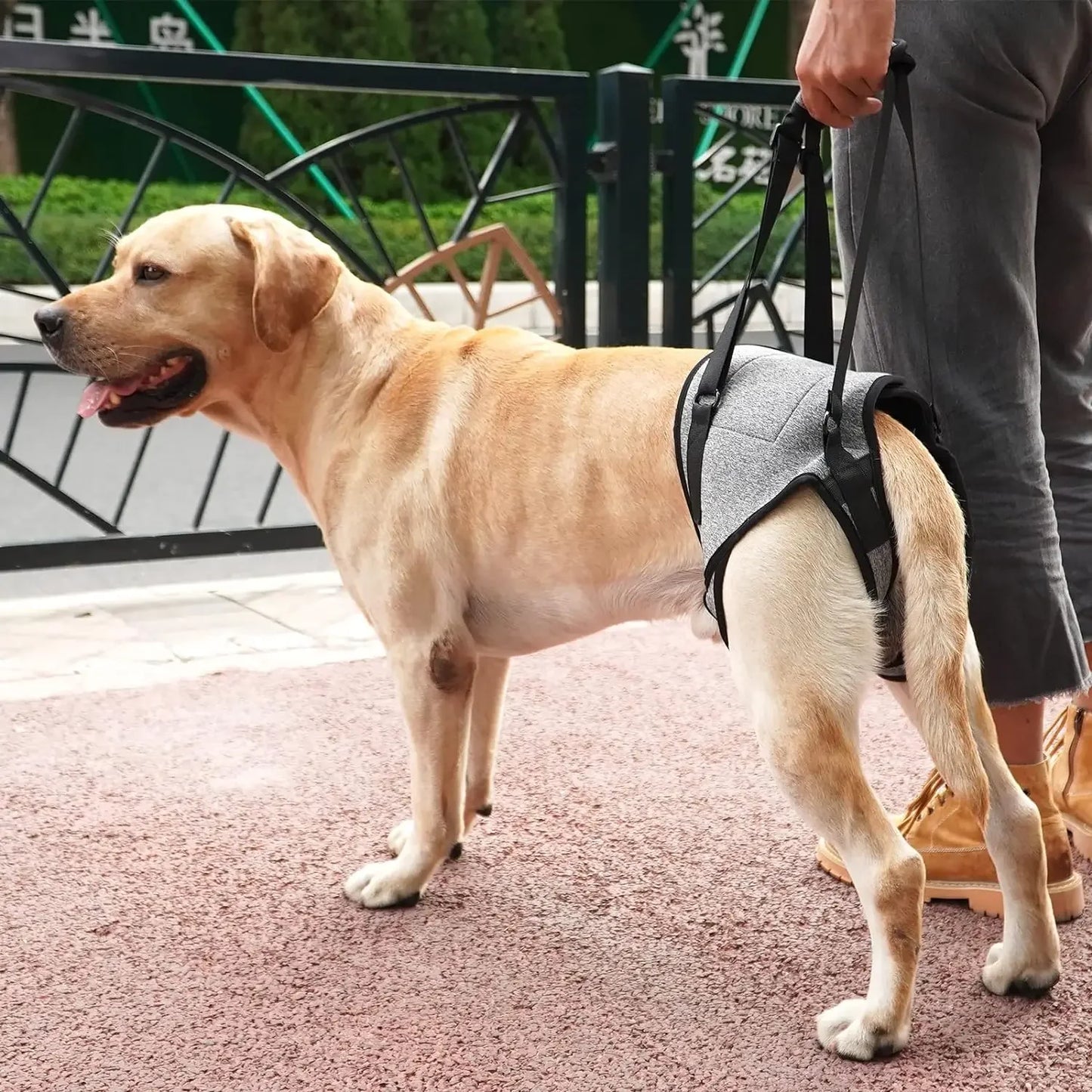Dog Leg Strap Disability Brace Help Walking Harness Auxiliary Belt For Recovery Postoperative Rehabilitation Dog Accessoires