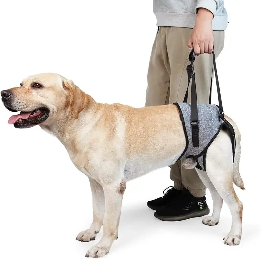 Dog Leg Strap Disability Brace Help Walking Harness Auxiliary Belt For Recovery Postoperative Rehabilitation Dog Accessoires