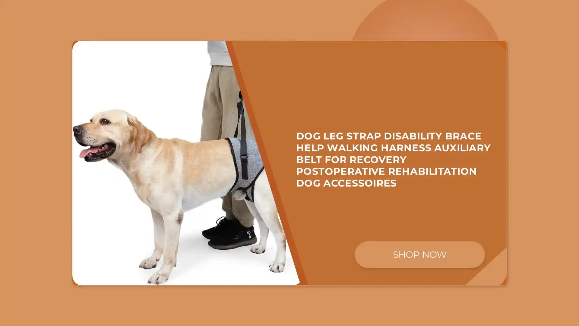 Dog Leg Strap Disability Brace Help Walking Harness Auxiliary Belt For Recovery Postoperative Rehabilitation Dog Accessoires by@Outfy